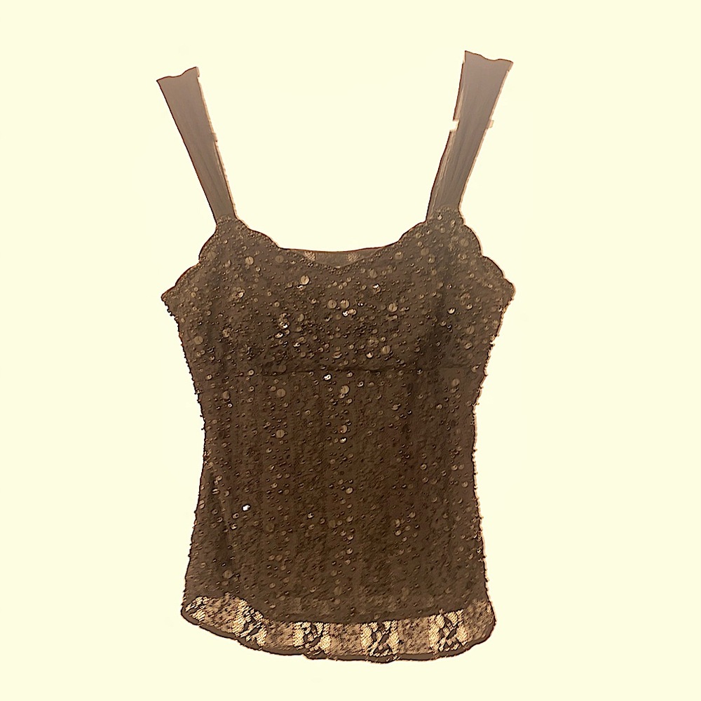 Ann Taylor Wide Chiffon Strapped Lace Beaded Sequined Top